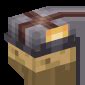 Image result for Minecraft Helmet Hair
