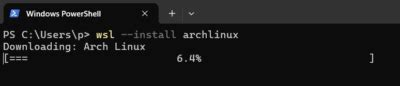 Arch Linux Windows Subsystem に対する画像結果
