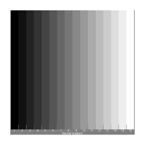 Image result for Grey Fraction