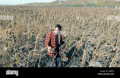 Image result for Dead Crop Field