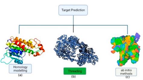 Image result for Protein Structure Modeling