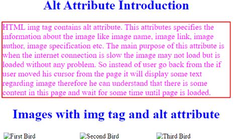 Afbeeldingsresultaten voor What Is an Alt Attribute HTML