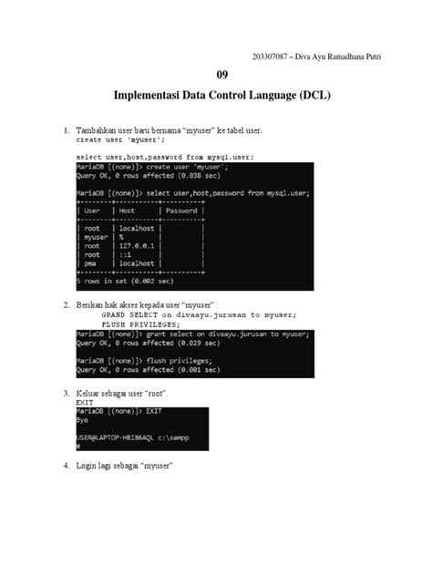 Image result for Control Language 5118 Examples
