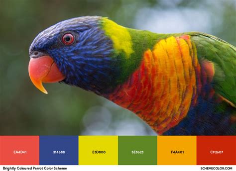 Image result for Parpal Color with Multiple Colors