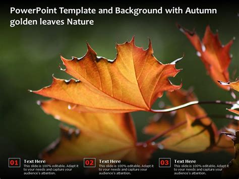 Afbeeldingsresultaten voor Fall Nature PowerPoint Background
