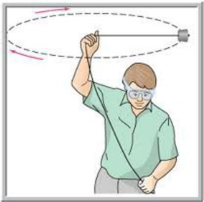 Image result for Circular Motion Experiment