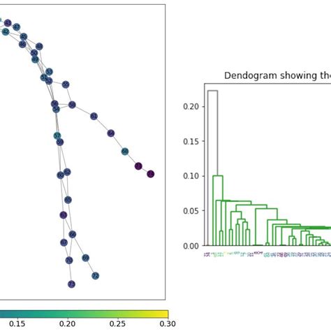 Image result for Graph Mapper