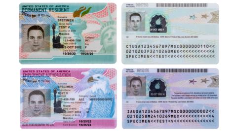 Toradh íomhá ar Back of Real Work Permit