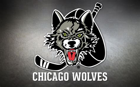 Toradh íomhá ar Chicago Wolves Introduction