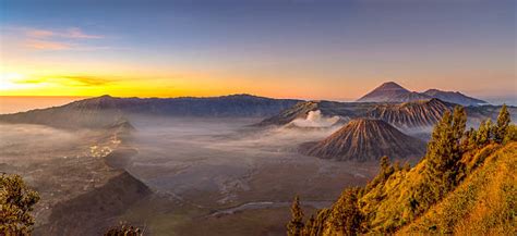 Image result for Java Mame