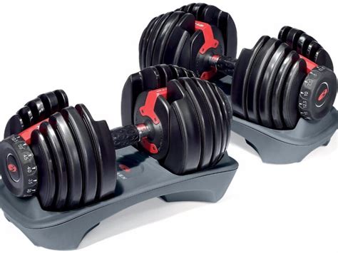 What to Look For When You Buy An Adjustable Dumbbell Set? - Aquila Style