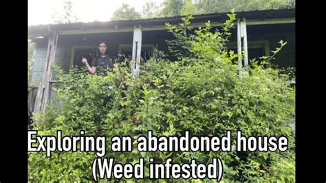 Afbeeldingsresultaten voor Infested Homes