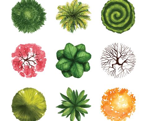 Bildergebnis für Tree Colored Plan View