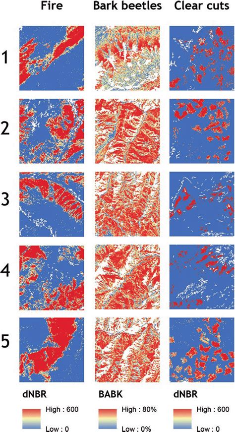 Image result for Spatial Pattern Mao