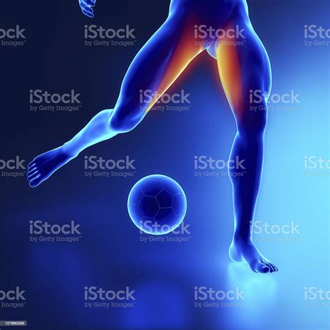 Image result for Strained Thigh Muscle