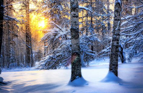 Winter Nature HD Desktop Wallpapers - Top Free Winter Nature HD Desktop ...