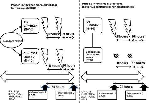 Phase Randomized に対する画像結果