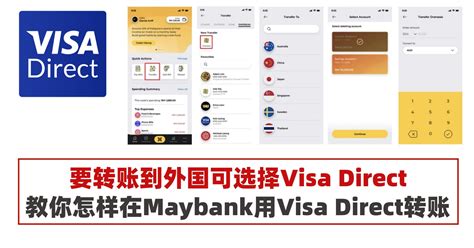 Image result for Visa Direct Debit Card