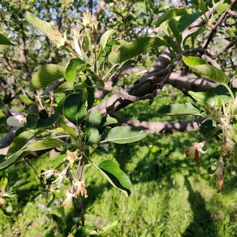 Python Devepoper Images కోసం చిత్ర ఫలితం