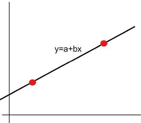 Linear Function Map に対する画像結果