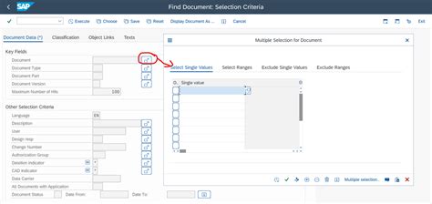 Image result for Macro SAP GUI Sans Coder