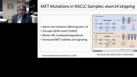 Image result for GeneXus TypeScript