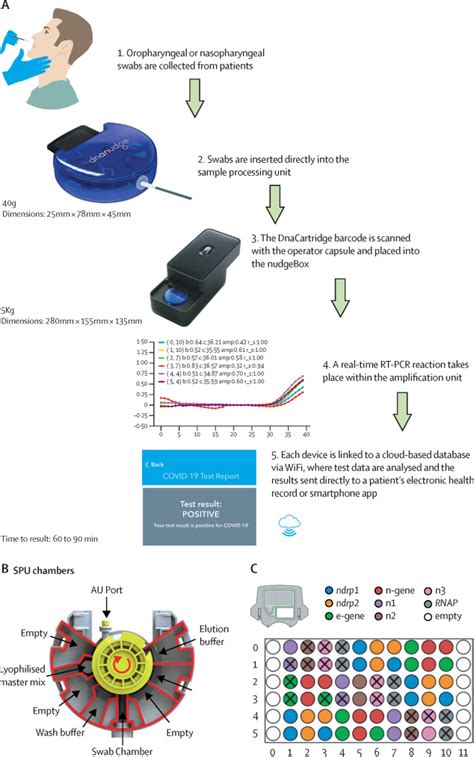 Image result for How Is RT-PCR Test Done