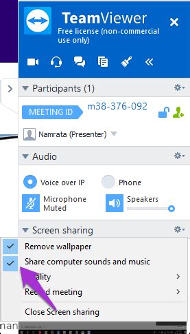 Image result for TeamViewer Microphone during Remote Control