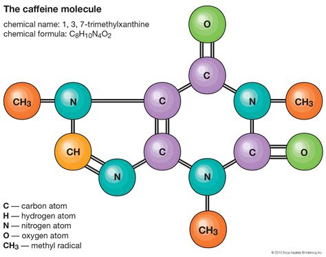 Afbeeldingsresultaten voor Molecular Science Model