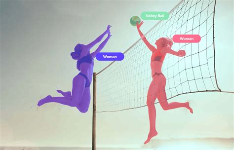 Toradh íomhá ar Differnnce Bertwee Classification and Segmentation in Computer Vision