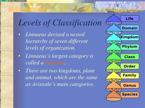Image result for Classification Levels Template