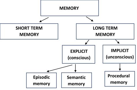 Image result for Memory Classification