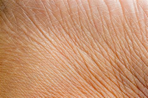 Toradh íomhá ar Skin Human Detail Texture
