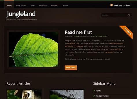 Toradh íomhá ar Index.html Template