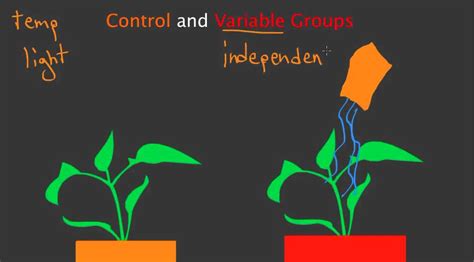 Image result for Define Control vs Constant Variable