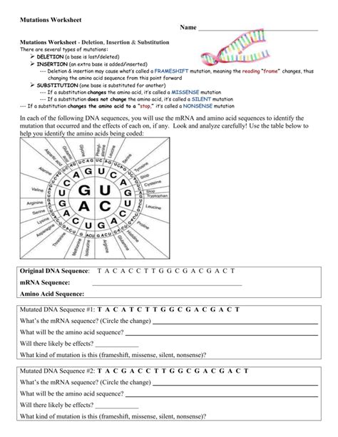Image result for Genetic Mutations Worksheet Answer Key