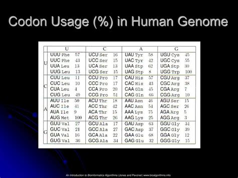 Image result for Human Codon Preference Chart