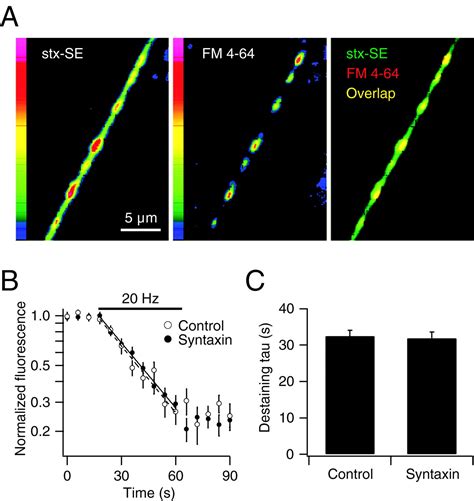 Image result for Systaxin Java
