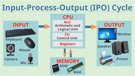 Toradh íomhá ar Input Process Output Cycle Diagram in Real Life