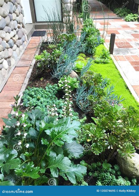 Image result for Landscape Design in Rectangular Building