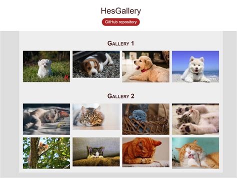 Image result for HTML/CSS Gallery Grid
