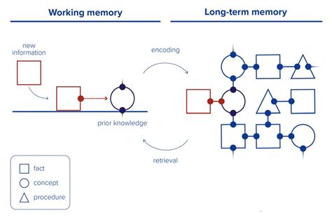 Image result for Model of Long-Term Memory