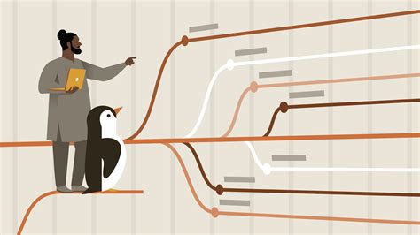 Image result for Linux Distros Choice Flowchart