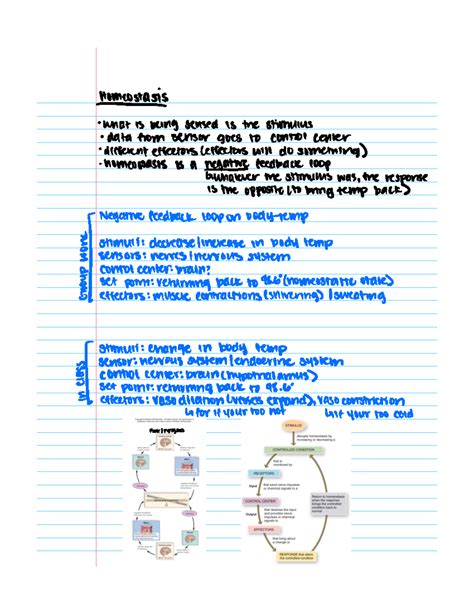 Negative Feedback Loop Fever に対する画像結果
