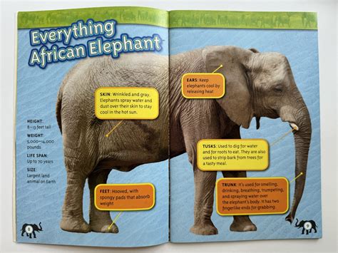 Image result for Text Features Book