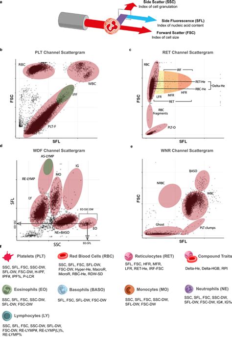 Afbeeldingsresultaten voor Sysmex Flow Cytometry