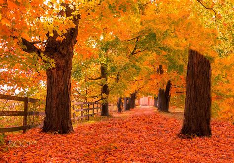 Afbeeldingsresultaten voor Fall Background for Windows Lock Screen