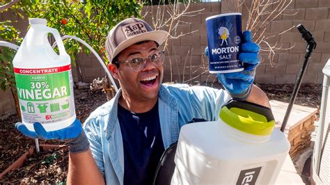 Image result for Weed Control Spraying