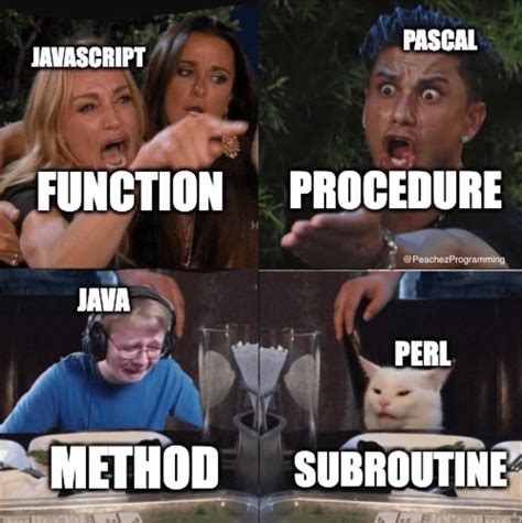 Image result for Processing Basics Meme