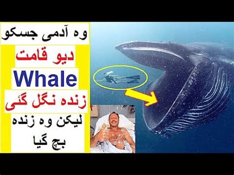 Image result for Canoe Swallowed by Whale